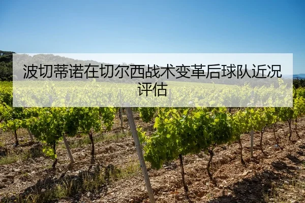 波切蒂诺在切尔西战术变革后球队近况评估